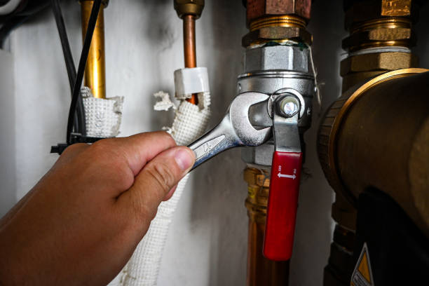 Best Clogged Drain Plumber  in Waseca, MN